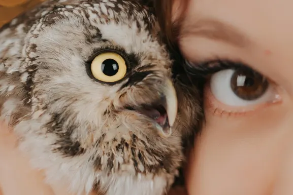 Lottomart Casino Podrška